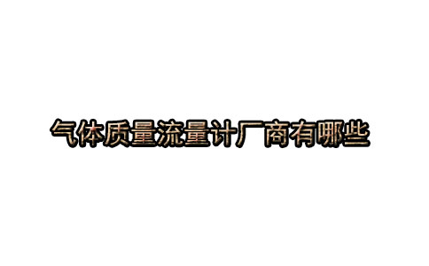 气体质量流量计厂商有哪些