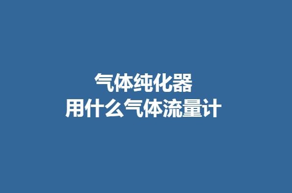 气体纯化器用什么气体流量计